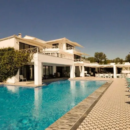 Huge Stunning Gazatika